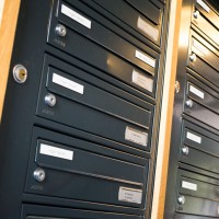 Föreningens nyhetsbrev – ett sätt att hålla sig uppdaterad! koncept_DSF1737
