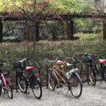 Borrningarna tidigarelagda: cyklar måste flyttas tisdag 26 november IMG_7321