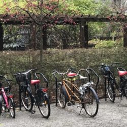 Borrningarna tidigarelagda: cyklar måste flyttas tisdag 26 november IMG_7321